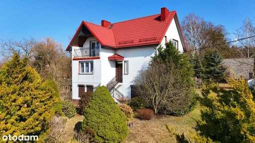 Dom z działką 1,2 ha i lasem - Mierzynów
