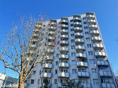 23 Marca, Przylesie, Sopot, pomorskie