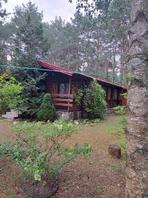 Dom 80 mkw na dzialce 1380 mkw Różan Dąbrówka blisko Warszawy