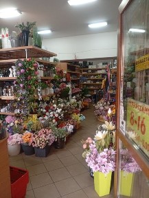 Łódzkie, Tomaszów Mazowiecki