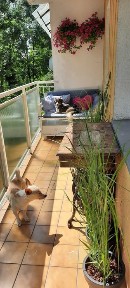 Mieszkanie na sprzedaż 60 m2 os. Gorzków