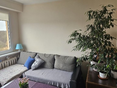 Mieszkanie 2 pokoje Słupsk - Górna blok nr 7