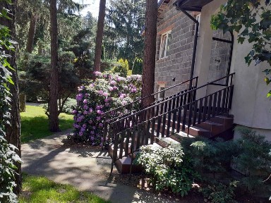 Mazowieckie, Międzyborów