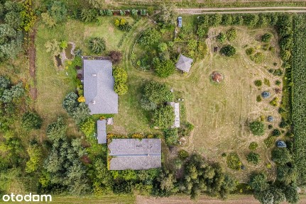 Dom z własną linią brzegową - 2ha blisko Torunia