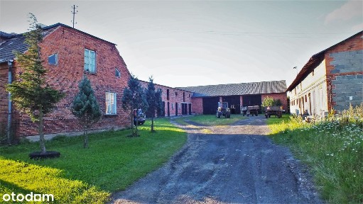 GŁÓWNA, Stropieszyn, Mycielin, kaliski, wielkopolskie