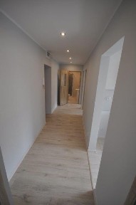 Mieszkanie 3 pokoje - do wynajęcia