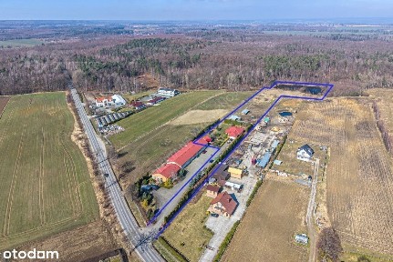 Parterowy dom, 1,6ha działka, z własnym stawem!