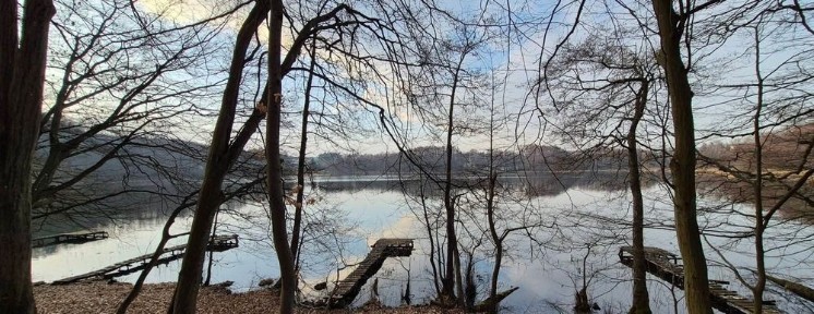 Domek letniskowy do wynajęcia w Torzymiu, koło Łagowa Lubuskiego