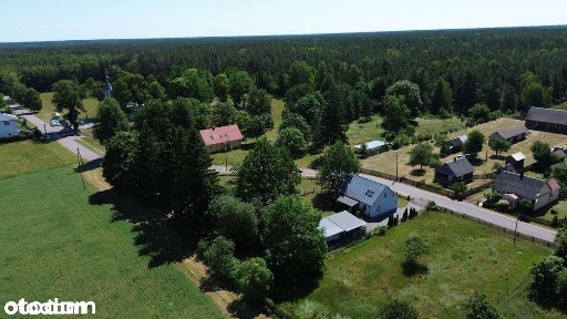Werstok w Prawdzowej Puszczy Bialowieskiej. Podlasie