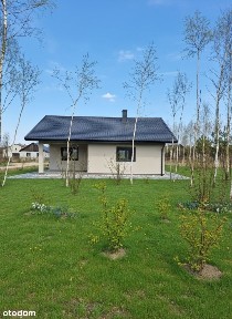 Wilcza Wola, Szydłowiec, szydłowiecki, mazowieckie