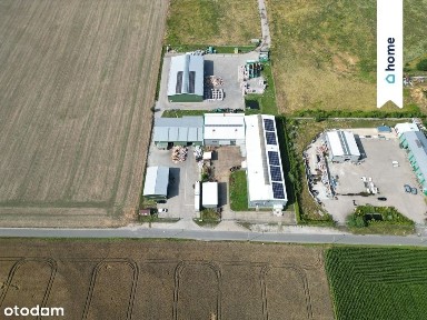 Hala produkcyjna | wyposażona | Miękinia