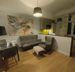 Mieszkanie w centrum do wynajęcia ul.Sobieskiego