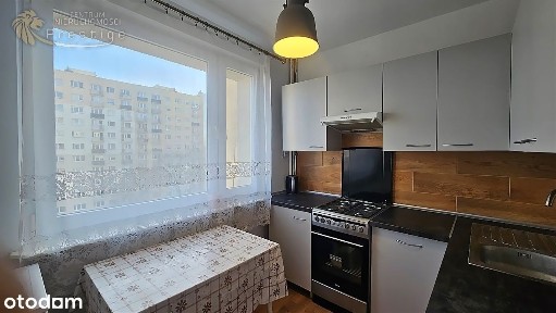 Trynek, Gliwice, śląskie