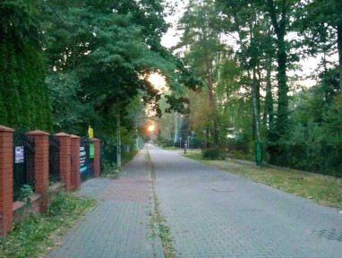 Przestronny dom w Piasecznie (dzielnica Zalesie Dolne)- zielona leśna okolica pod Warszawą