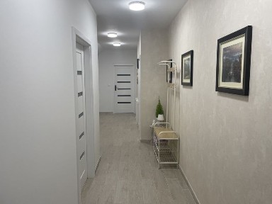 Do wynajęcia mieszkanie 54 m