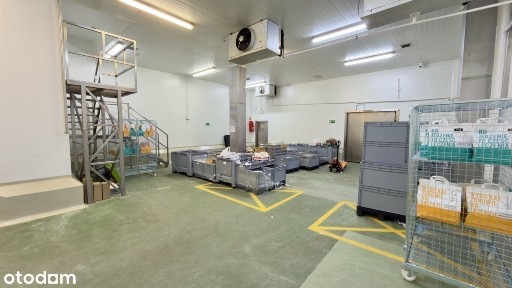 Hala 1273 m² z CHŁODNIĄ | 2 Rampy | HACCP | Parking TIR/BUS | A4/S1