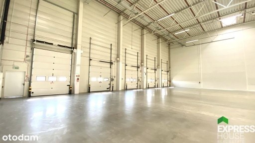 Magazyn z biurami 2932 m2 w Sadach k/Poznania