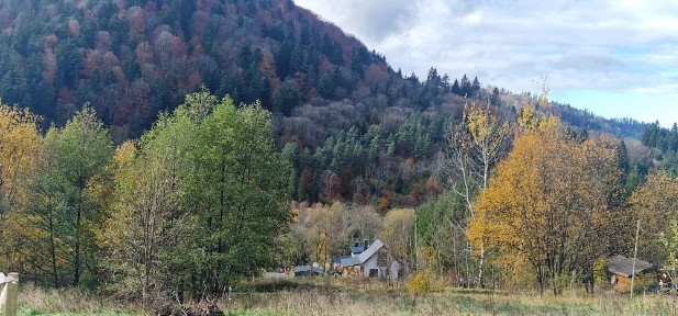 Podkarpackie, Bystre