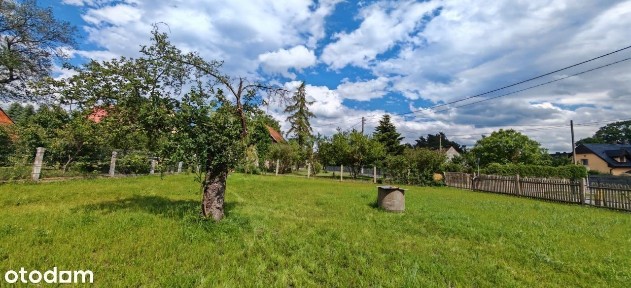 ul. Polna, Czeszów, Zawonia, trzebnicki, dolnośląskie
