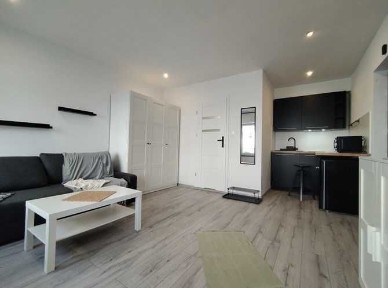 Wynajmę kawalerkę pet friendly, Reja 13, BRAK PROWIZJI