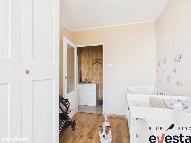 3 pokoje, 47,5 m2 obok Uniwersytetu Ekonomicznego