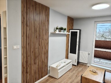 M-3 Łódź Widzew i mieszkanie 40 metrowe wynajmę.