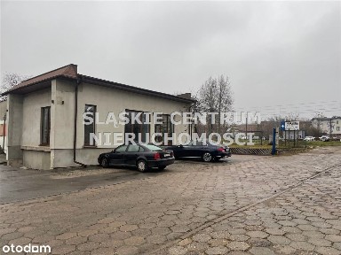 Niwecka, Dańdówka, Sosnowiec, śląskie