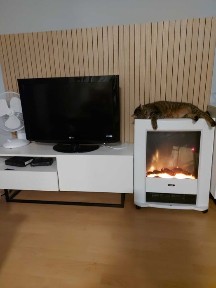 Kawalerka Grunwald/Junikowo