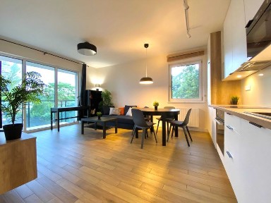 3-pokojowe mieszkanie Na Grobli - widok na rzekę