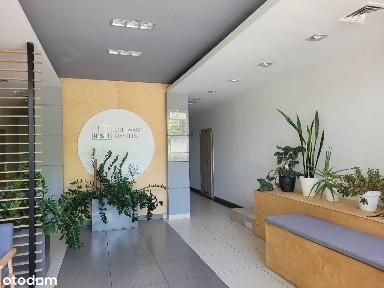 Lokal biurowy do wynajęcia: 44 m2. Bez prowizji.