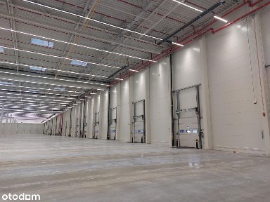 Magazyn z antresolą 2500 m2 na wynajemOkęcie