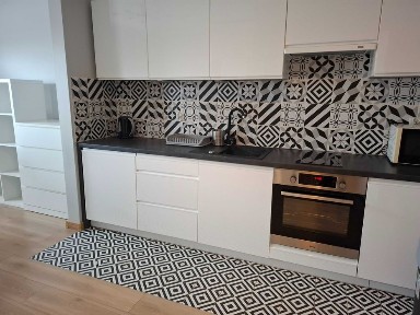 Kawalerkę w apartamentowcu wynajmę.