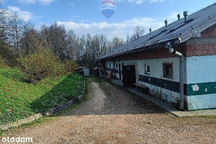 Nieruchomość Przemysłowa - Fabryka Manekinów