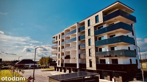 Mieszkanie nr 3 | 45,54 m² | Os. Jagiełły | WINDY