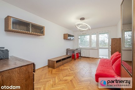 3 pokoje z loggią i piwnicą!