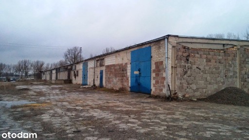Ostrówek-Kolonia, Ostrówek, lubartowski, lubelskie