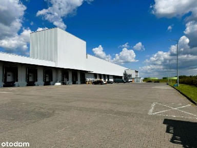 ul. Janikowska, Janikowo, Nowe Miasto, Poznań, wielkopolskie