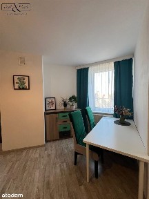 Mieszkanie na wynajem, Gliwice, 1 pokój