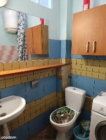 Witkowo, gnieźnieński, wielkopolskie