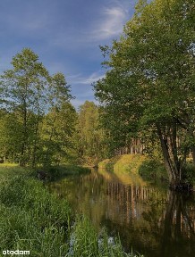 Zbrzyca, Chojnice, chojnicki, pomorskie