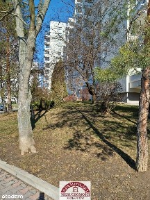 Jana Sebastiana Bacha, Służew, Mokotów, Warszawa, mazowieckie