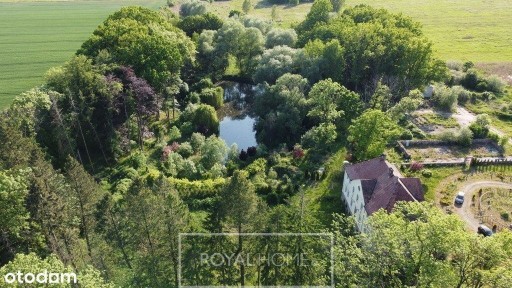 Pałacowa Perła | Zespół Pałacowo-Parkowy | 7,5 ha