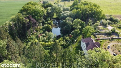 Pałacowa Perła | Zespół Pałacowo-Parkowy | 7,5 ha