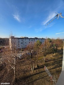 Sochaczew, sochaczewski, mazowieckie