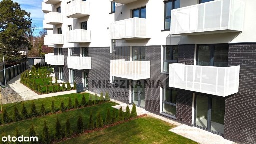 Ziarnista, Winogrady, Stare Miasto, Poznań, wielkopolskie