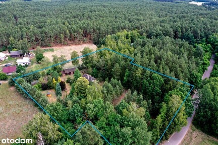 Koziki-Majdan, Ostrów Mazowiecka, ostrowski, mazowieckie
