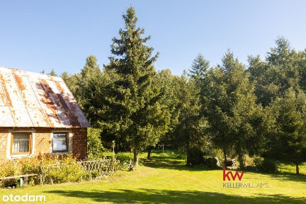 Nowa Wioska, Gardeja, kwidzyński, pomorskie