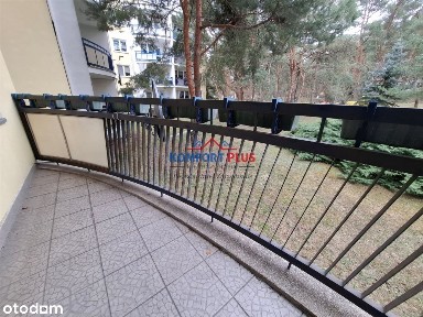 Na Skarpie, Toruń, kujawsko-pomorskie