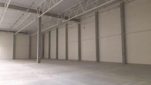 Chłodnia z regałami 3x 900m2 ( można adaptować pod mroźnię)