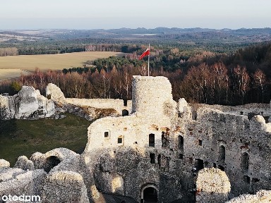 Mieszkanie z ogródkiem / garaż / komórka / serce Jury Ogrodzieniec
